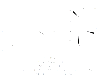 chlorogenic acid.gif